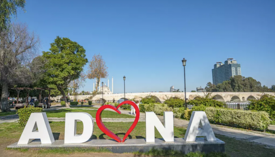 Adana Gauss Ölçümü Projesi